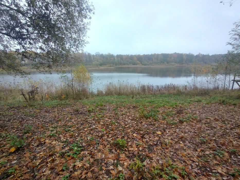 Działka rekreacyjna w pierwszej linii brzegowej Jeziora KOŁKI