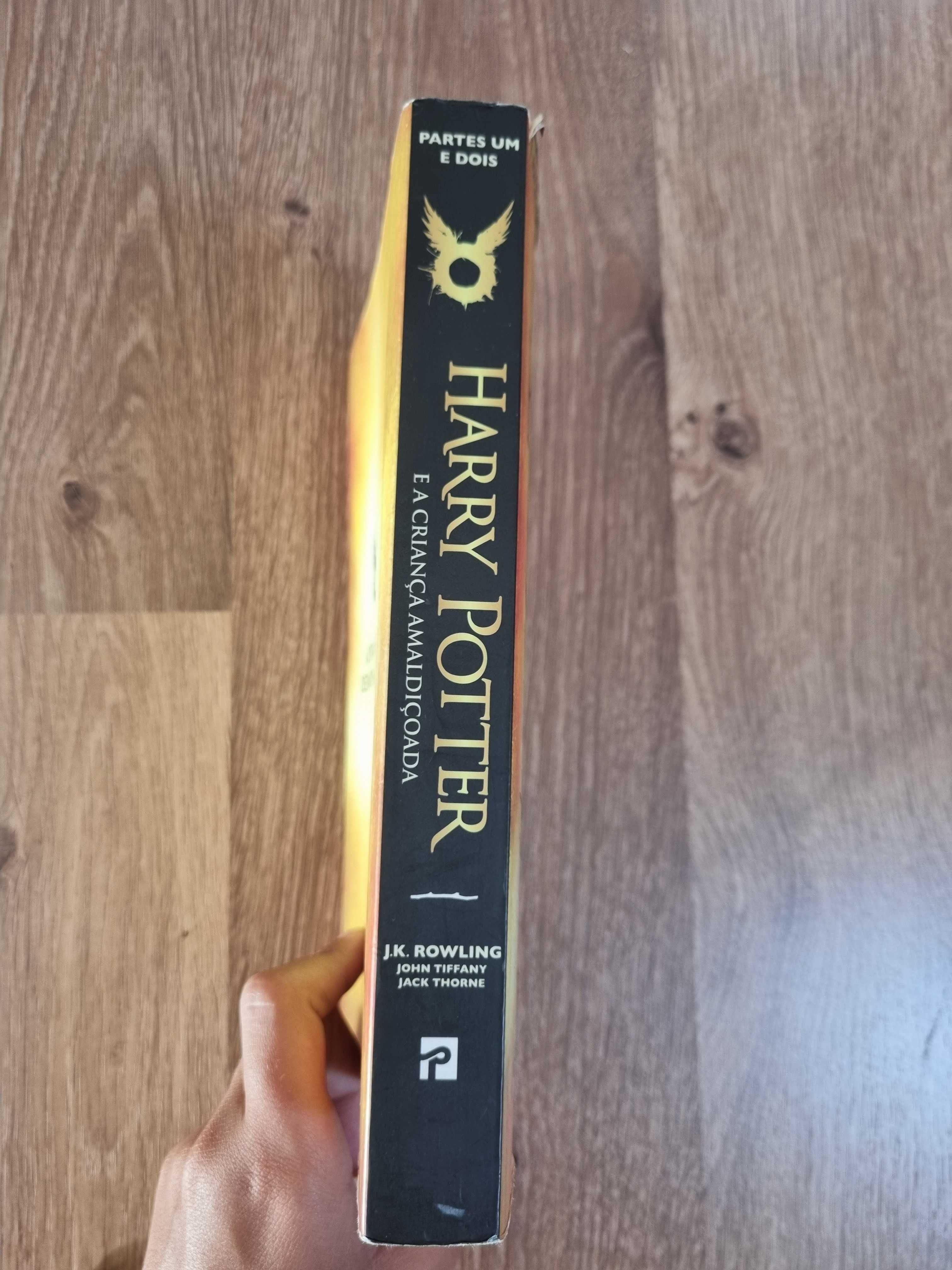 Livro "Harry Potter e a Criança Amaldiçoada"