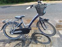 Rower holenderski 20cal 3 biegi, hamulec w pedałach