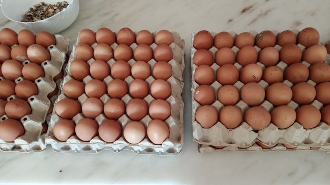 Vende-se ovos caseiros