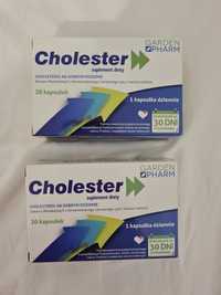 Supplement Cholester