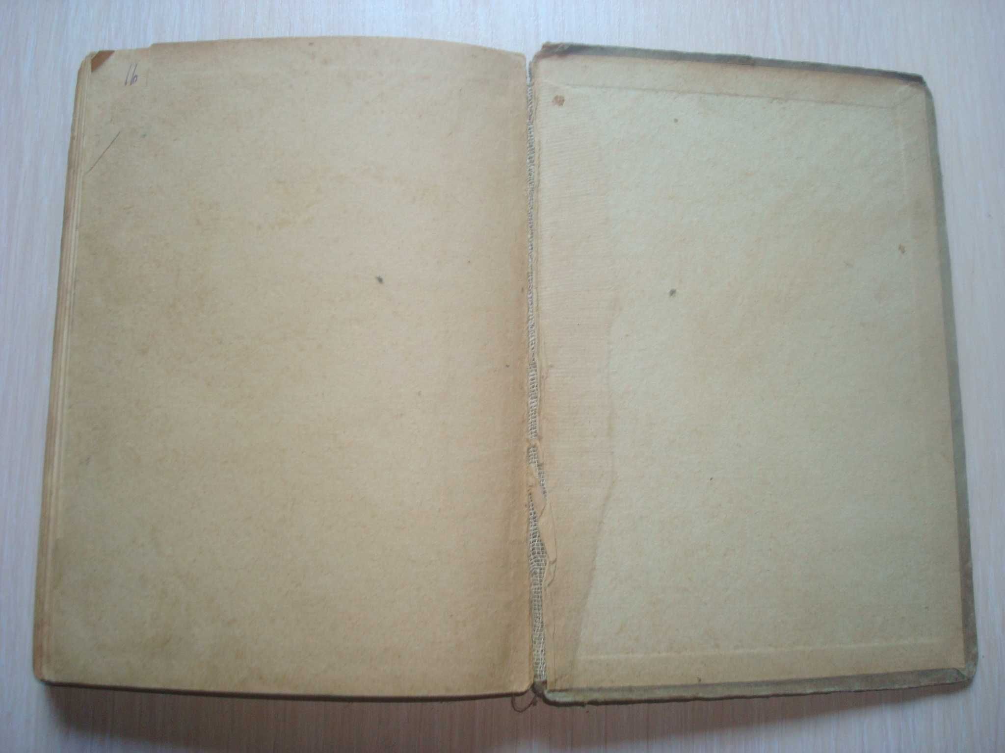 Несслер А. Рабочий немецко-русский словарь 1929 г. Раритет