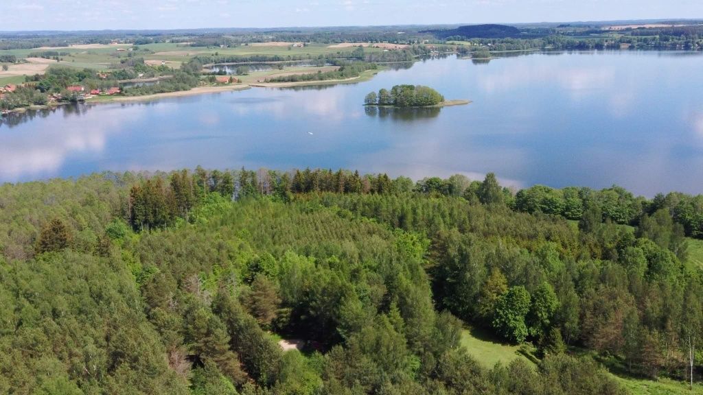 Domek na Mazurach w lesie ,blisko jeziora. Wolny termin 28.07-02.08