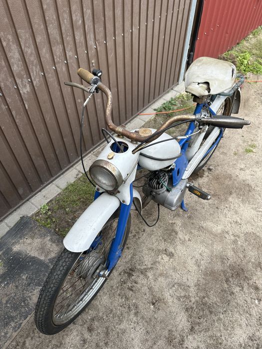 Komar sztywniak mr232