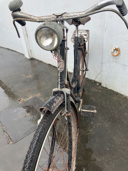 Pasteleira Marca Royal Enfield senhora