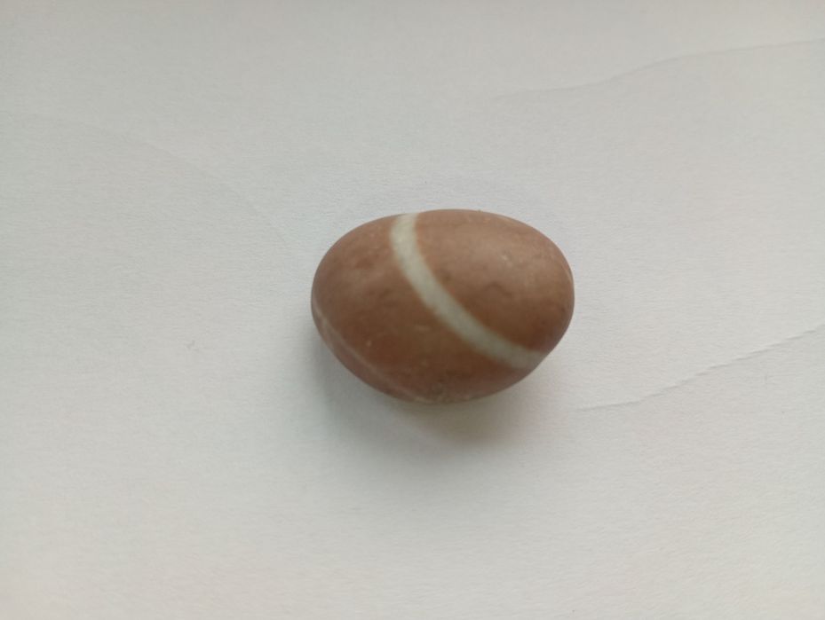 Kamień piękny morski karaibski.