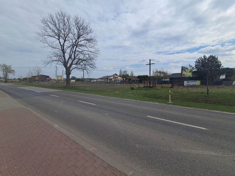 Wynajmę działkę 2000m2 przy trasie w Olszewnicy Nowej Dino, Riviera