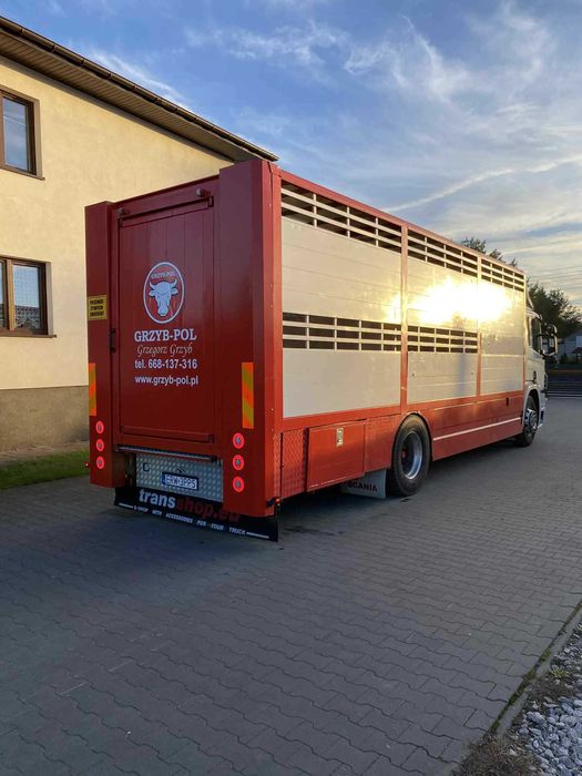 Scania p230 do przewozu zwierząt bydła żywca zabudowa waga