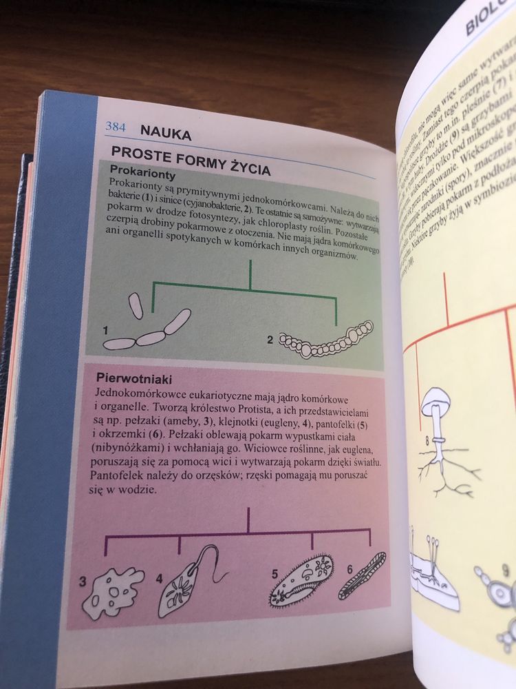 Podręczna mini encyklopedia, zestaw podstawowych informacji