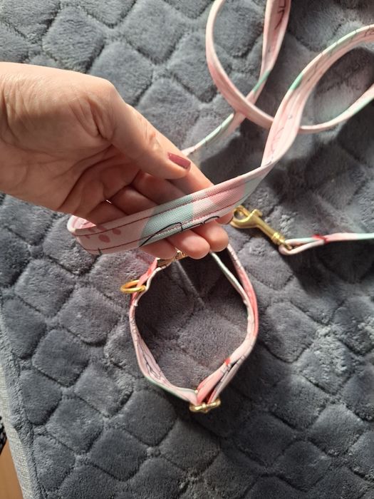 Obróżka i smyczka na małego pieska