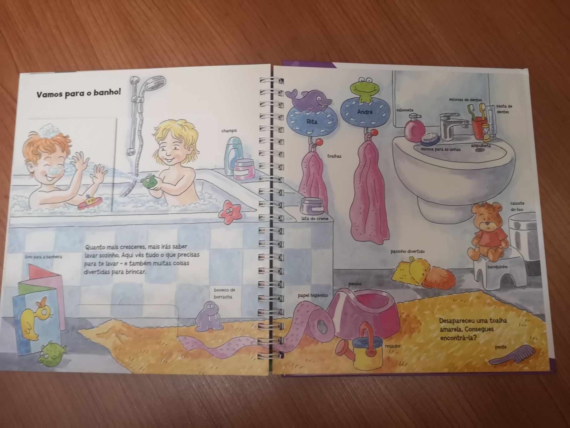 Livro Explica me Como É