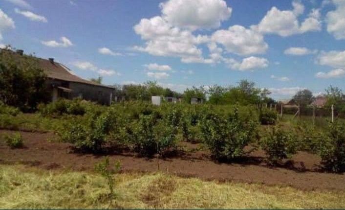 Продам участок в с.Кислица