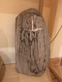 Fóssil tronco madeira