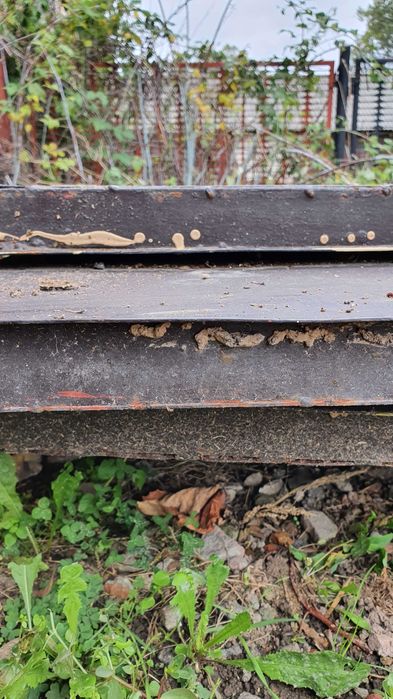 Brama garażowa dwuskrzydłowa  (stalowa,ocieplana)