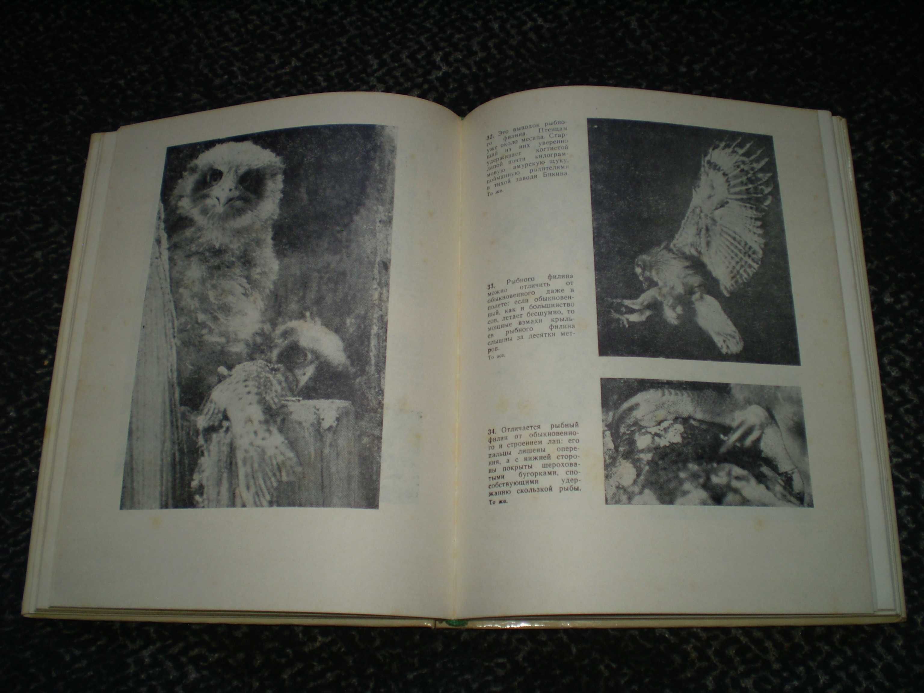 Ю.Пукинский. Жизнь сов. С автографом автора. 1977г.