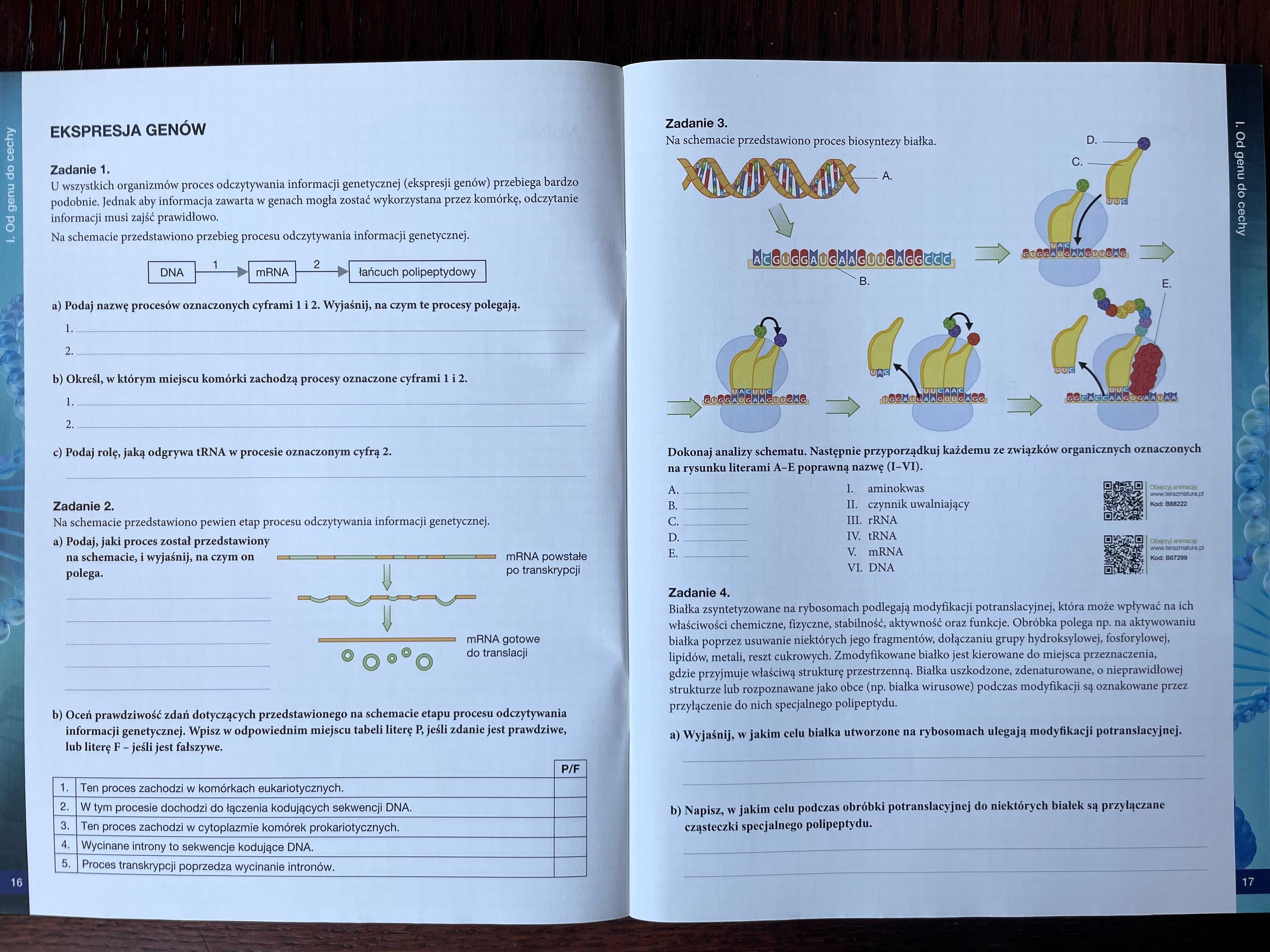 Biologia na czasie. Karty pracy ucznia - idealne do powtórek