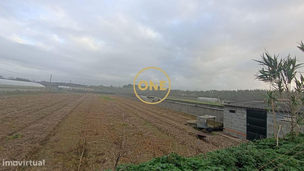 Terreno rústico de Apúlia, Esposende