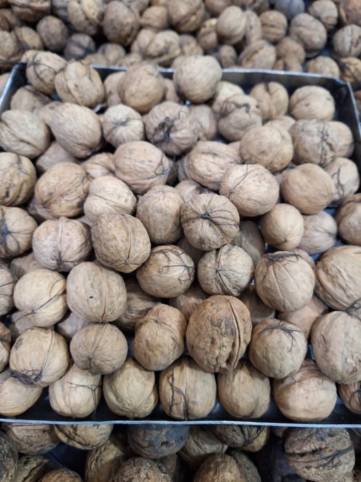 Грецький горіх врожай 2025 р