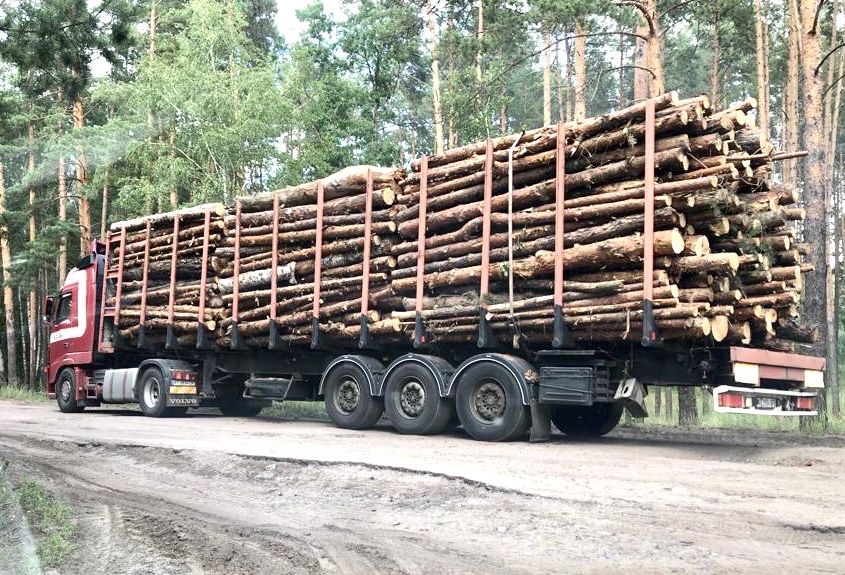Продам дрова соснові, 2-4 м, 1400 грн. м.куб, доставка.
