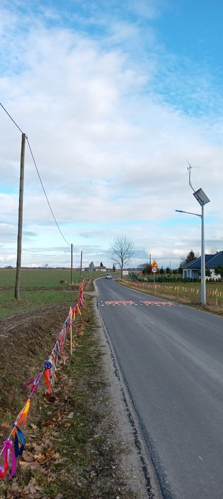 Dekoracja, przybranie drogi dla Pani Jasnogórskiej