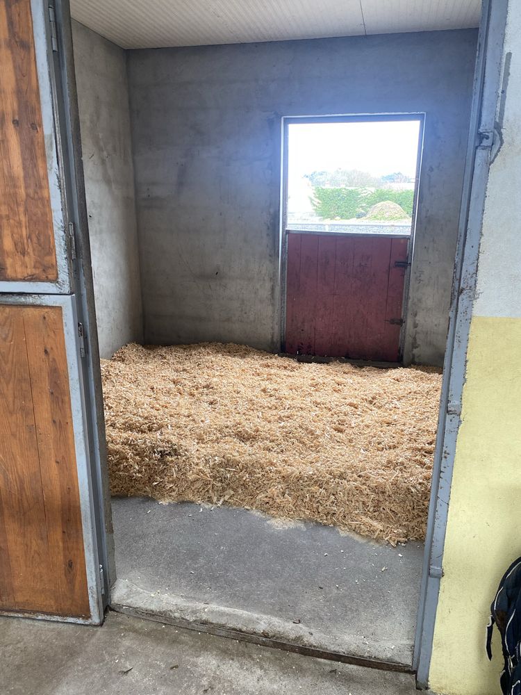 Cavalos a Penso ou Pasto - VNGaia e Gondomar