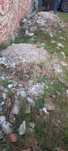 Oddam gruz Nysa .,.