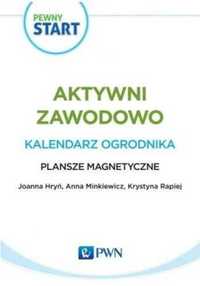 Pewny Start. Aktywni zawodowo.Kalendarz...Plansze - Lidia Klaro-Celej