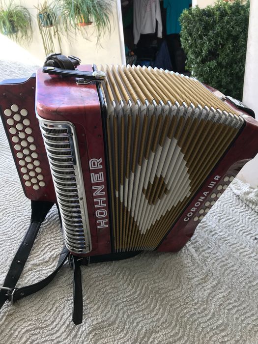 Concertina muito bonita e anda muita gente à procura delas