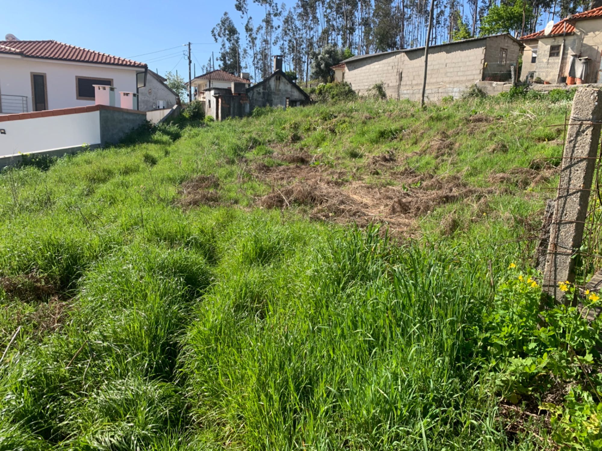 Terreno com casa em ruína.