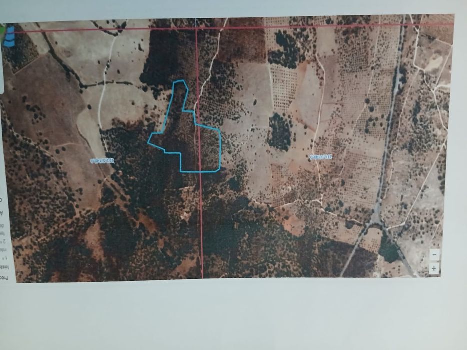 Casa habitável em Alvito com duas propriedades rústicas