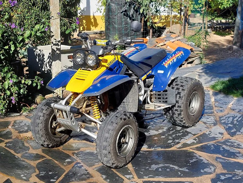Yamaha Warrior 350