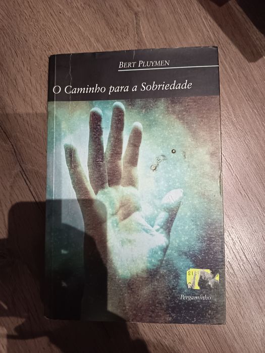 O caminho para a sobriedade - Bert Pluymen (alcoolismo)