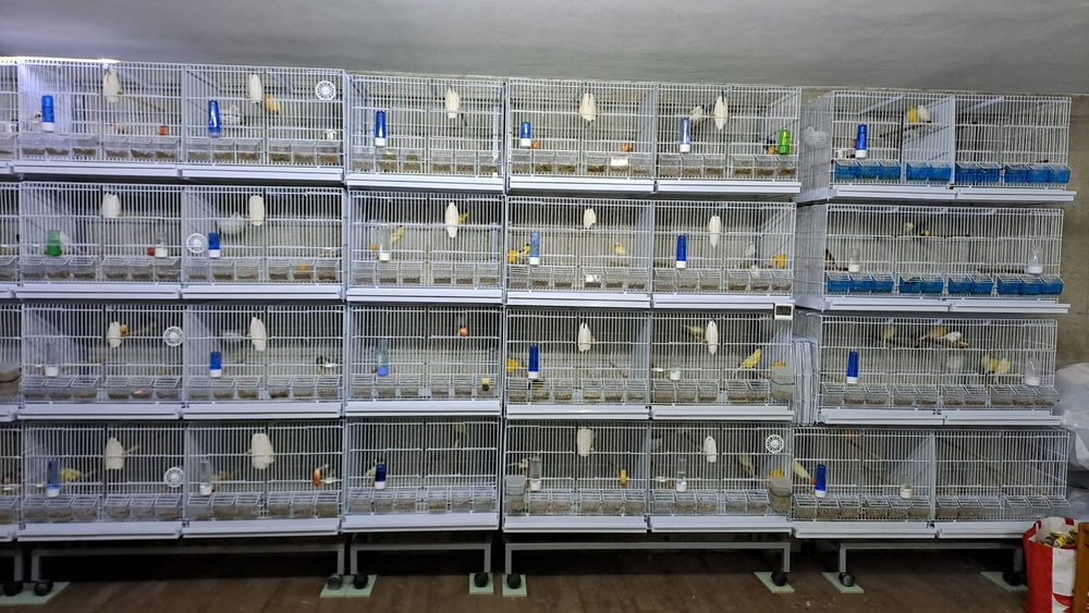 Vendo várias Gaiolas