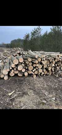 Продам дрова різних порід та в різній кількості