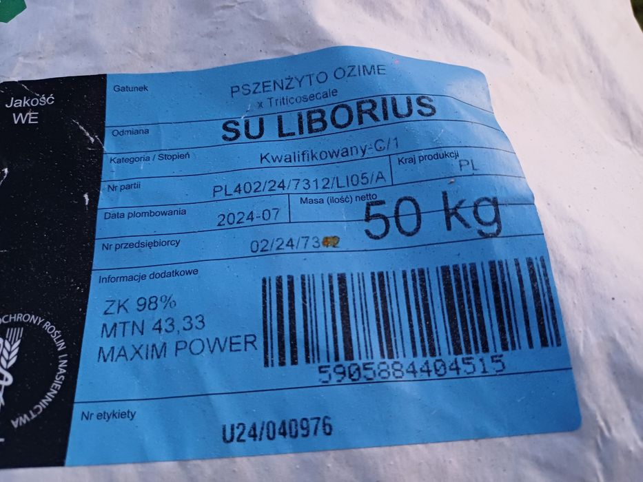 Witam, sprzedam pszenzyto.