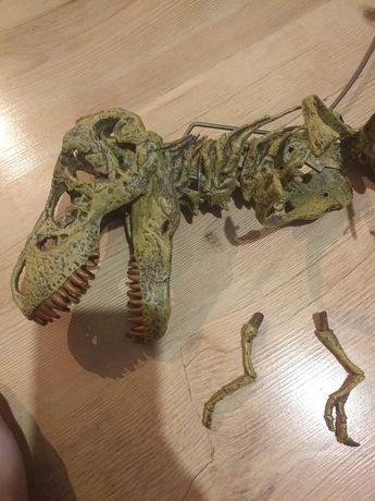Скелет динозавра