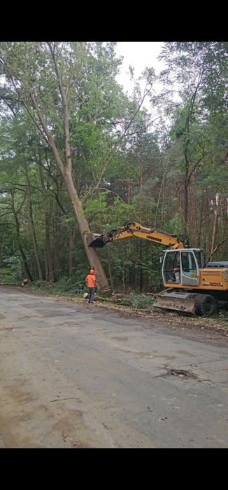 odśnieżanie wycinka drzew nasadzenia  roboty ziemne koparka wywrotka