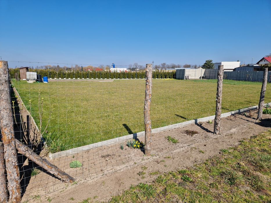 Działka Tuchorza 1030 m2 113zl/m