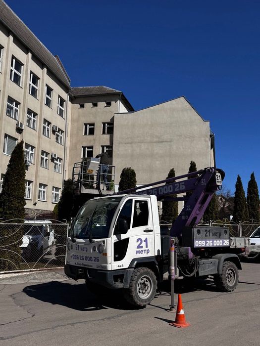 Обрізка дерев, оренда автовишки