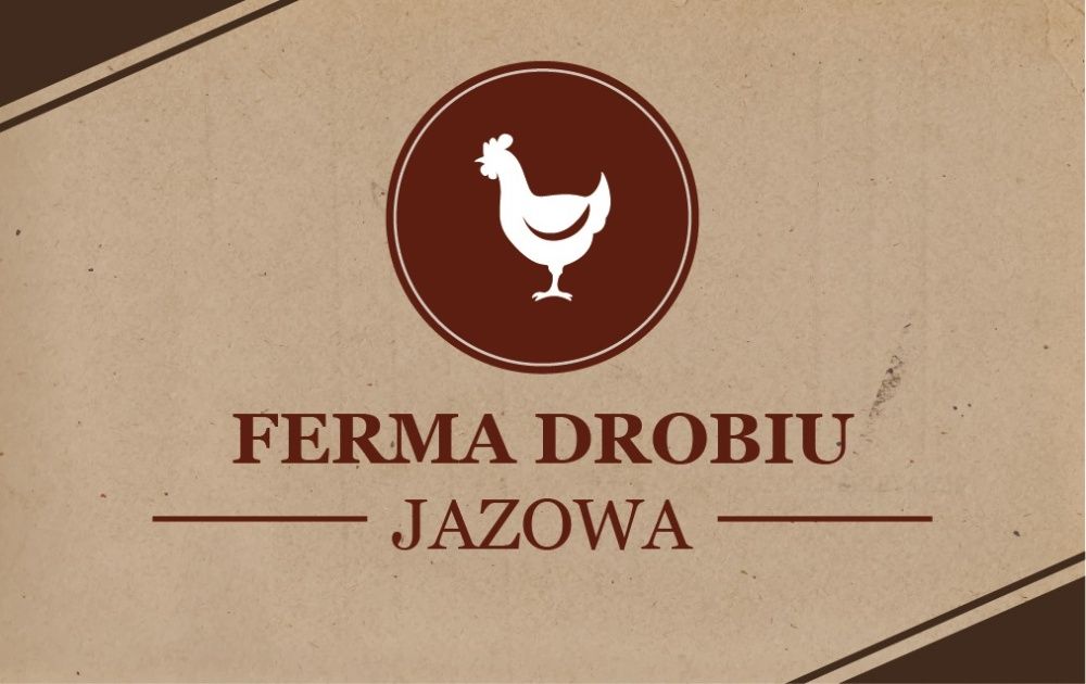 kury, kurczaki, kurczęta Brojlery ferma Jazowa