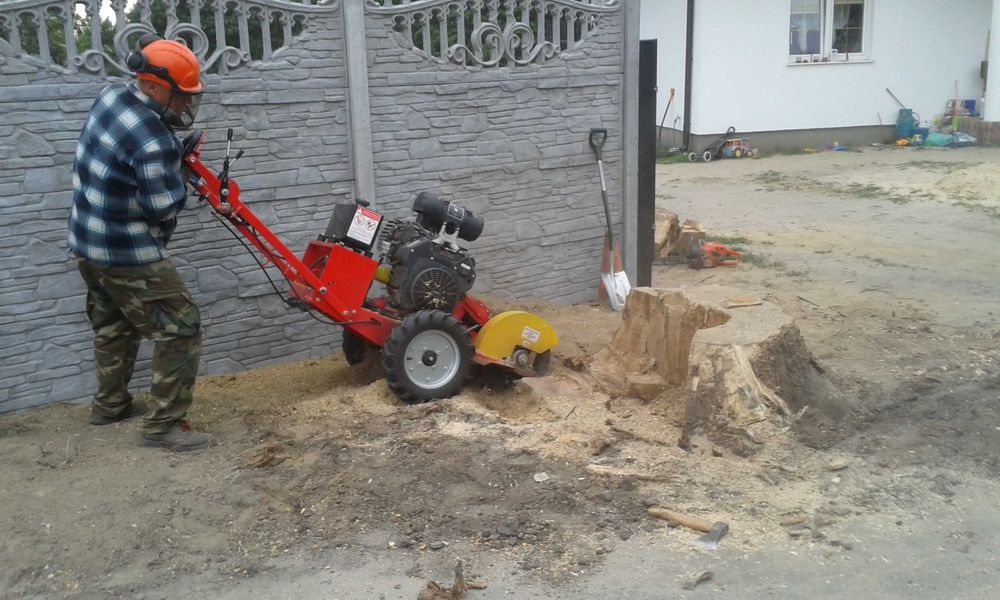 sprzątanie usuwanie rozdrabnianie gałęzi z działek rębakiem Lutomiersk