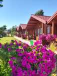 22-29.06 Nowy termin!!! Domki Rowy domek nad morzem dom wakacje z psem