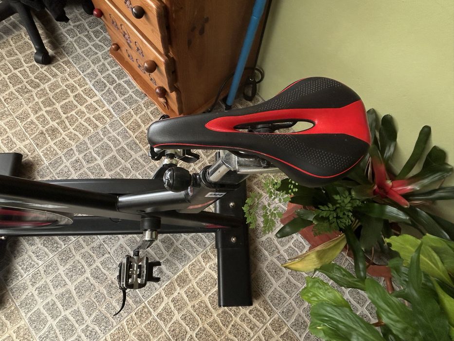 Bicicleta spinning BH SB Mag