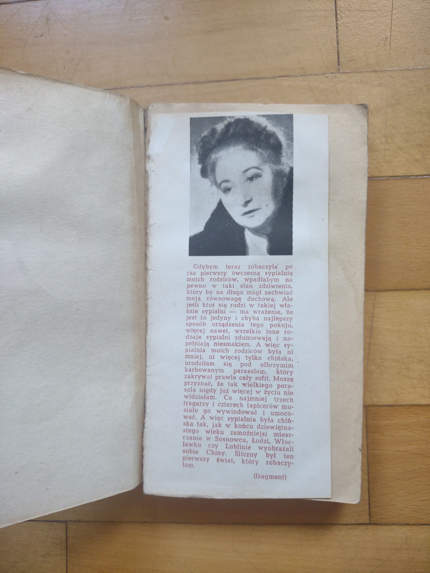 Czajka Izabela Stachowicz Córka Czarownicy  Na Huśtawce 1971