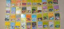 80 cartas pokemom para venda
