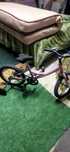 Bicicleta menina