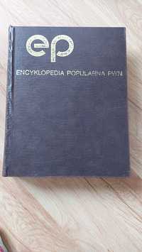 Encyklopedia Popularna PWN