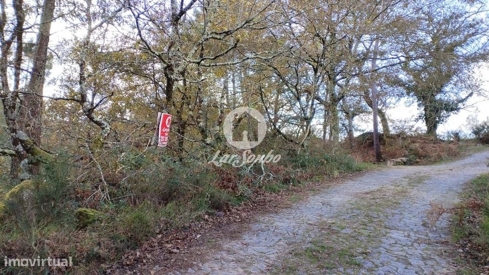 Terreno para Venda no Parque Natural do Gerês - Ideal para Plantaçã...