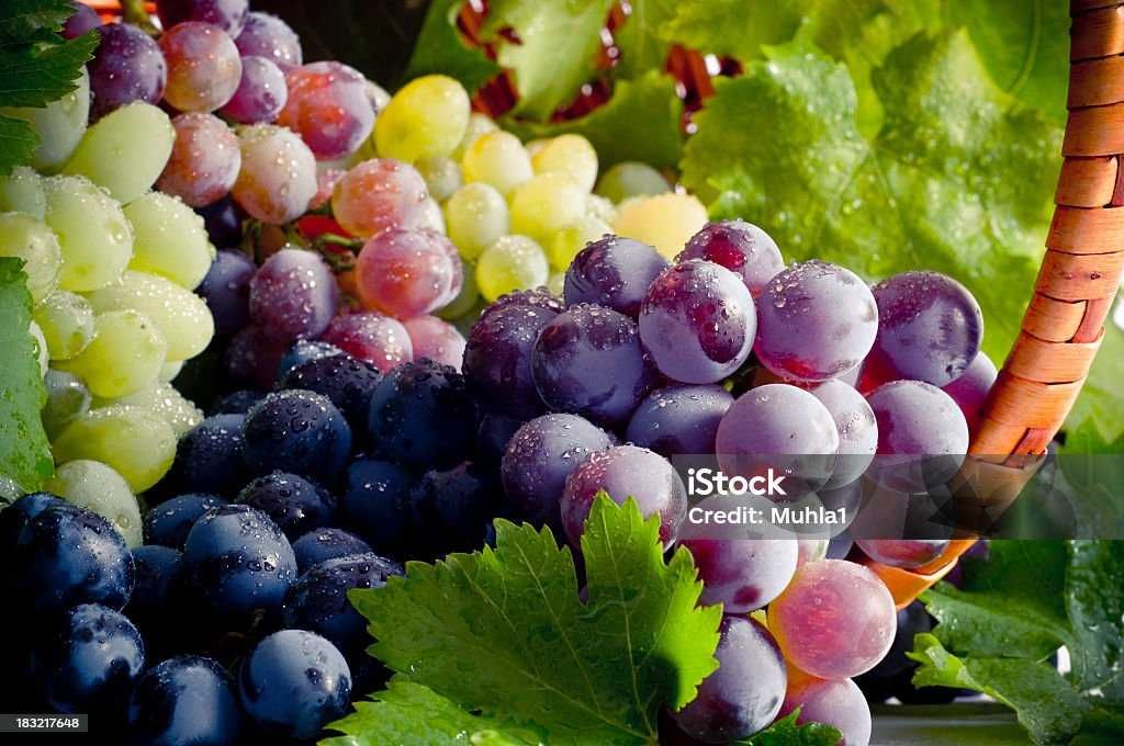 Продам різочки , черенки винограду