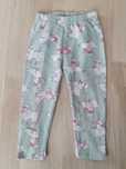 Getry 86 legginsy pepco pieski